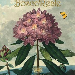 обои Limonta Boscoreale Limonta Boscoreale