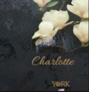 обои York Charlotte York Charlotte - 1