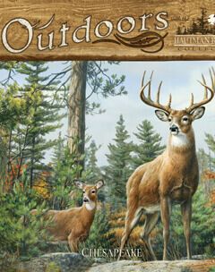 обои Chesapeake Outdoors Chesapeake Outdoors