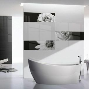 Ibero Black & White