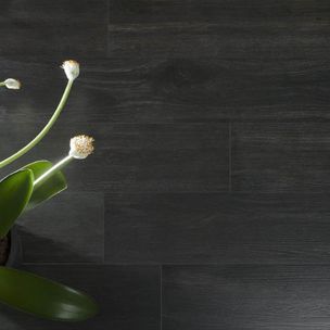 Emigres Hardwood