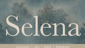обои Selena Винил Selena