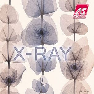 обои AS Creation X-Ray AS Creation X-Ray