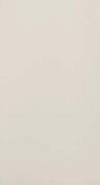 кафельная плитка Lumina Плитка Lumina 56 Beige Matt 30,5x56 RT