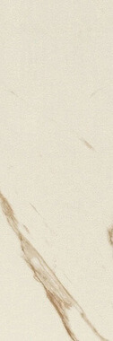 кафельная плитка Versace Marble Плитка для ванной Versace Marble Bianco Calac. Lappato 19.5*58.5 19.5x58.5