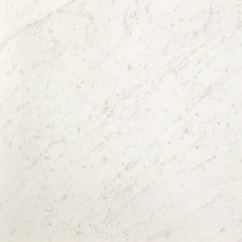 De Masi Ceramiche Roma.Fap Ceramiche Roma Diamond Carrara Brillante 60x60 Kupit V Moskve Magazin