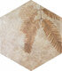Плитка Керамогранит Zyx Amazonia Tropic Cotto 32x36.8 - 1