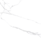 Плитка Керамогранит Laparet Atlantic White Белый i Полированный 60x60 - 2