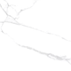 Плитка Керамогранит Laparet Atlantic White Белый i Mat 60x60 - 5