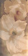 Плитка Панно Azulev Capuccino Decor Magnolia Natural 60x60 - 1