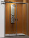  Душевая дверь в нишу Radaway Premium Plus DWD 33363-01-01N - 1