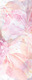 Плитка Декор Ceradim Frescura Dec Panno B 20x50 - 1