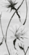 Плитка Панно Шахтинская плитка Картье Серый 01 40x75 - 1
