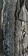 Плитка Напольная плитка Mariner Rain Forest Dark 45x90 - 1