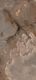 Плитка Настенная плитка Rex Ceramiche Reves De Rex Choco Matte 120x280 - 1