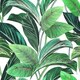 Плитка Декор Cir & Serenissima Showall White Leaf 120x120 - 1