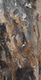 Плитка Напольная плитка Neodom Stone&More Lawa 60x120 - 1